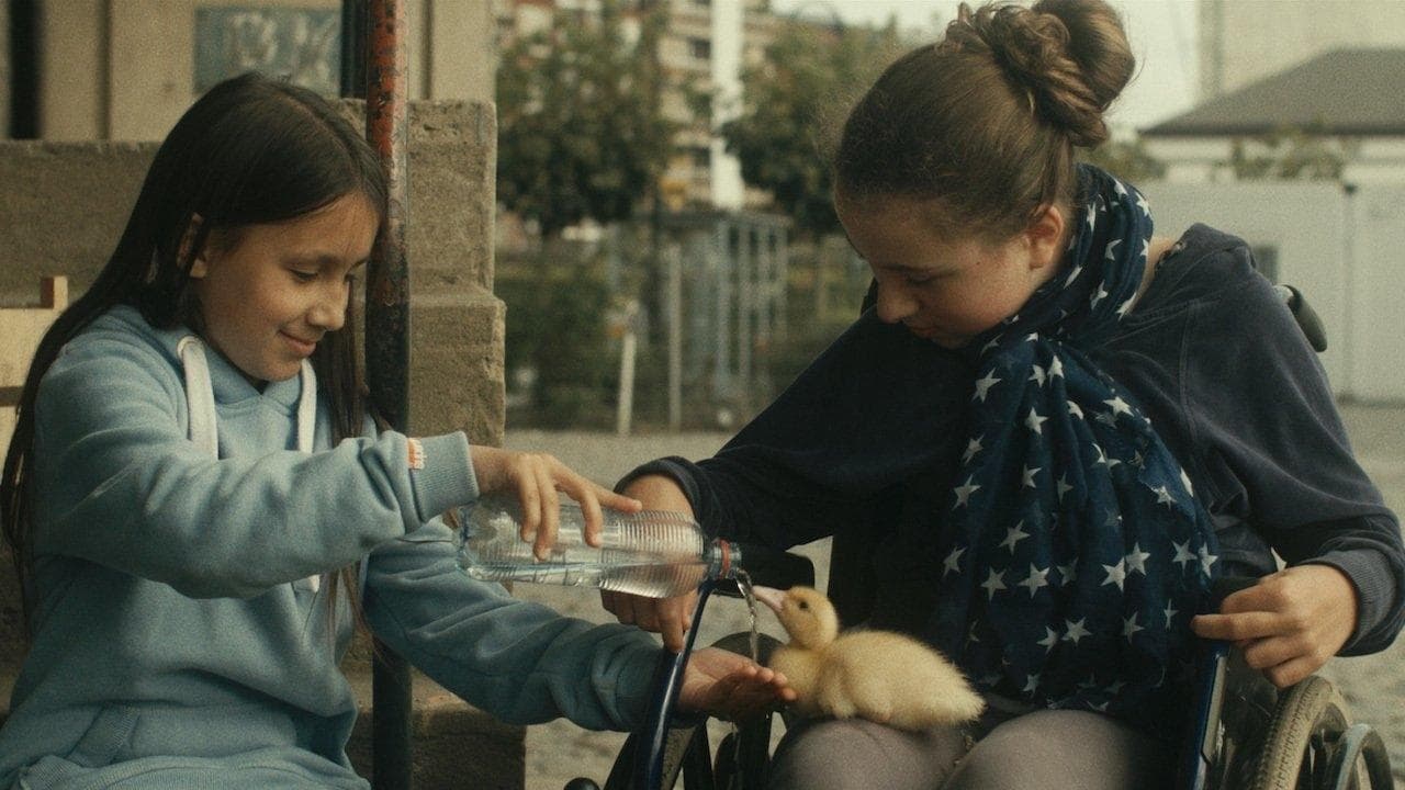 Szene aus Zugvögel - Wenn Freundschaft Flügel verleiht