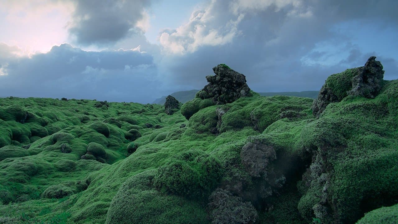 Szene aus Voyage of Time: The IMAX Experience
