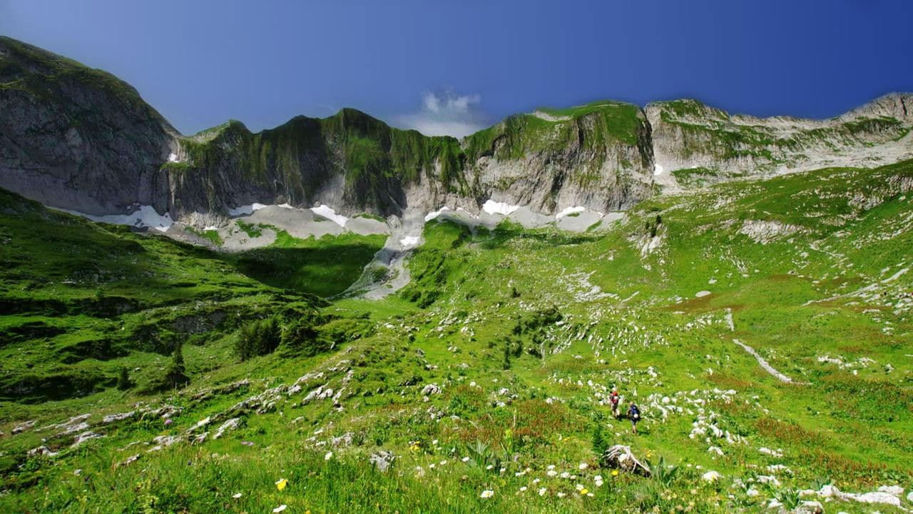 Szene aus Unsere wilde Schweiz