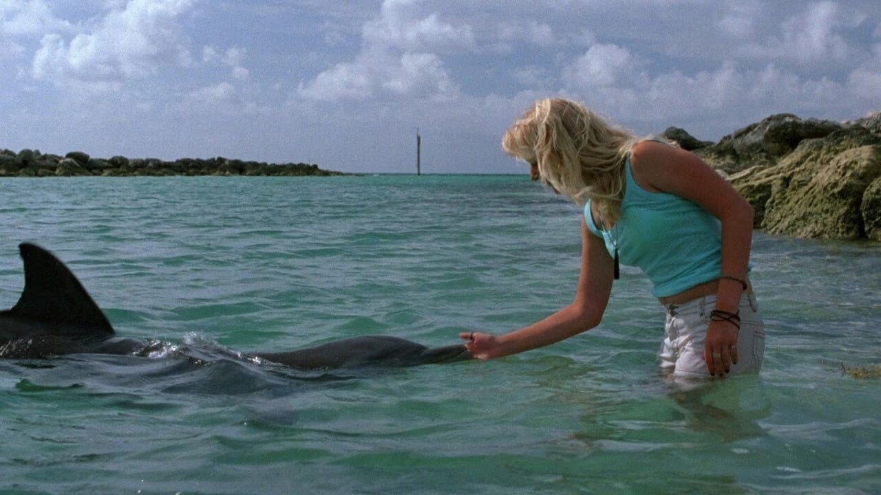 Szene aus Die Delfinflüsterin