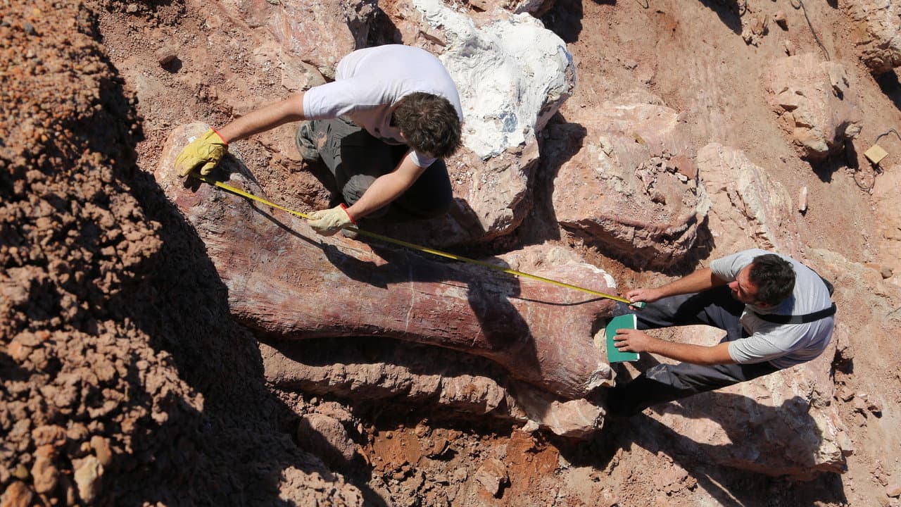 Szene aus Die Entdeckung der Riesensaurier