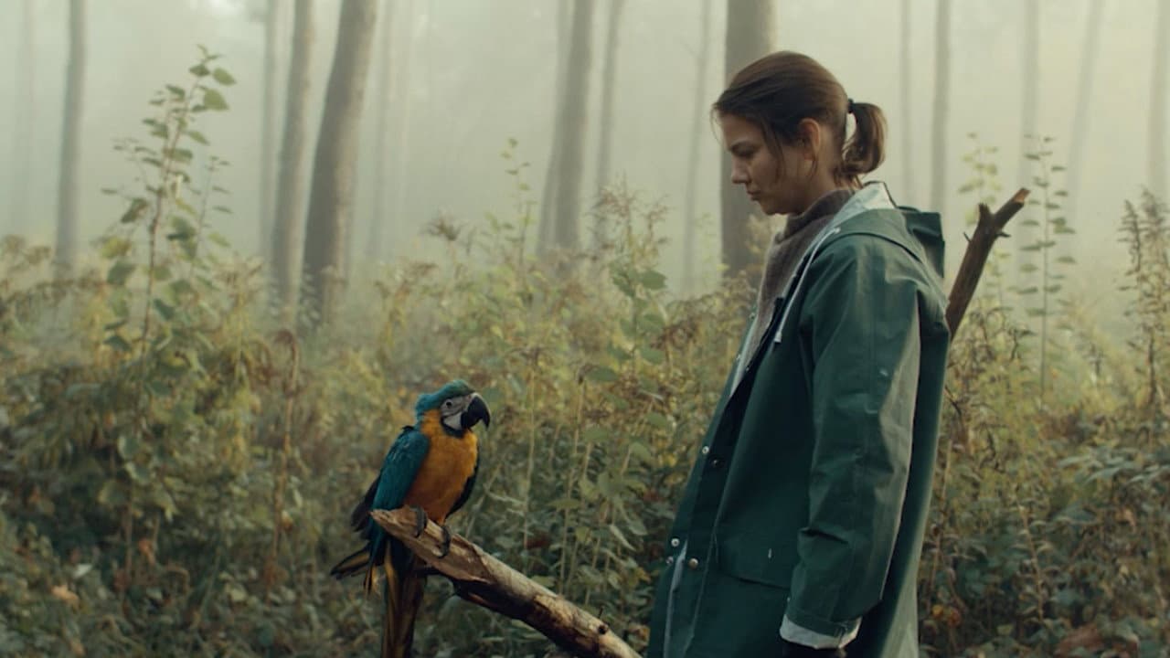 Szene aus Kommt ein Vogel geflogen