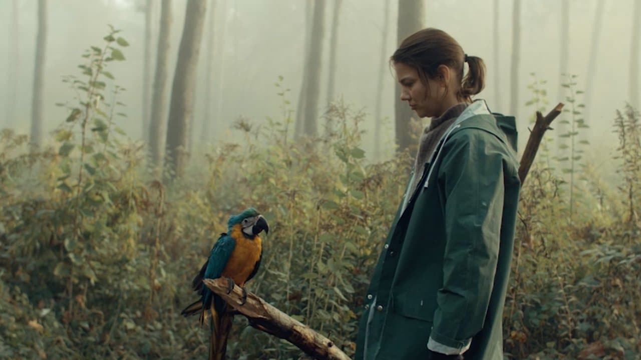 Szene aus Kommt ein Vogel geflogen