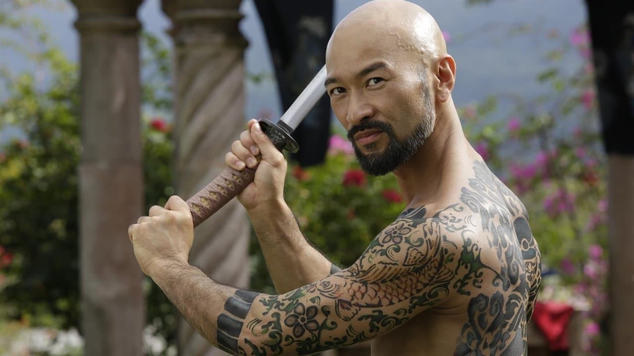 Szene aus Falcon Rising