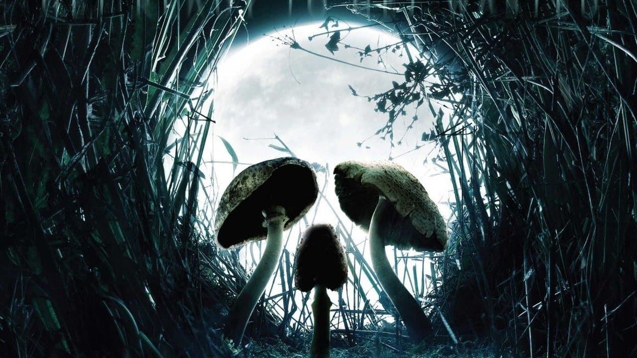 Szene aus Shrooms - Im Rausch des Todes