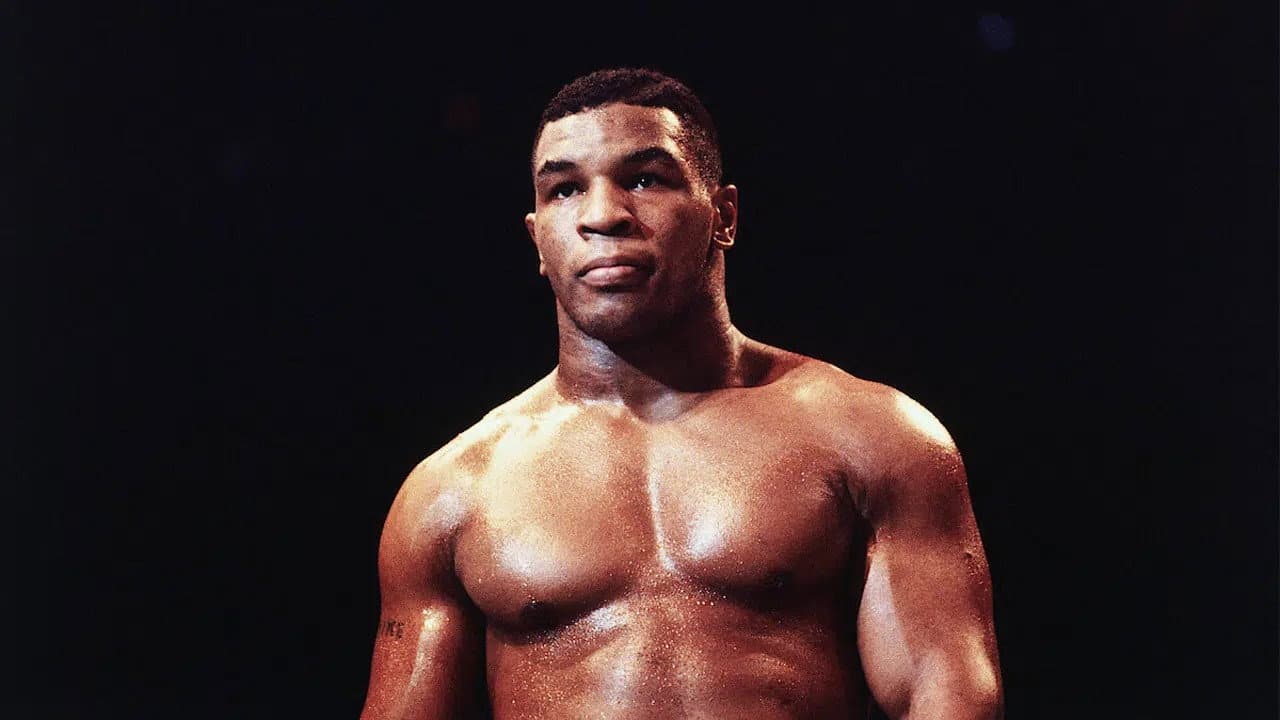 Szene aus TYSON