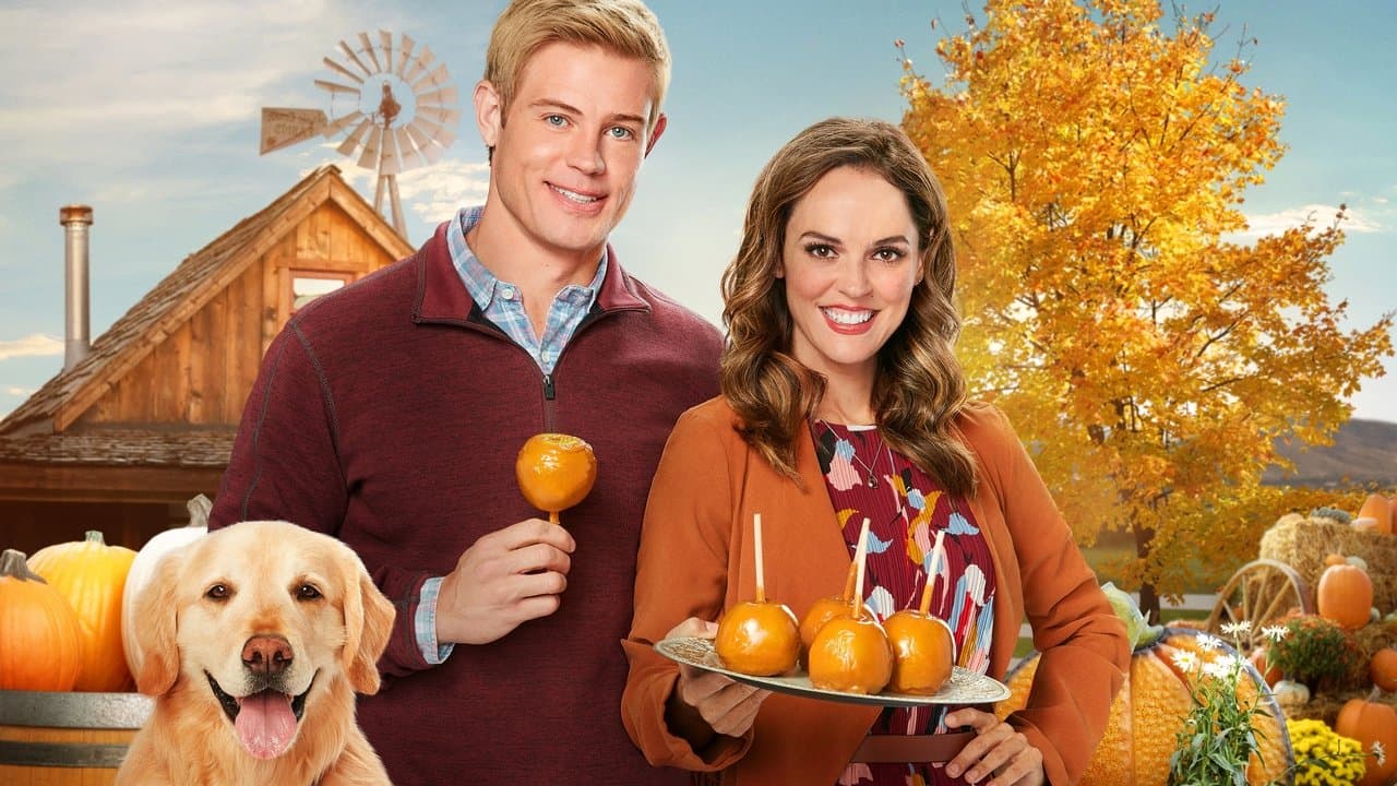 Szene aus Love, Fall & Order - Im Zweifel für die Liebe