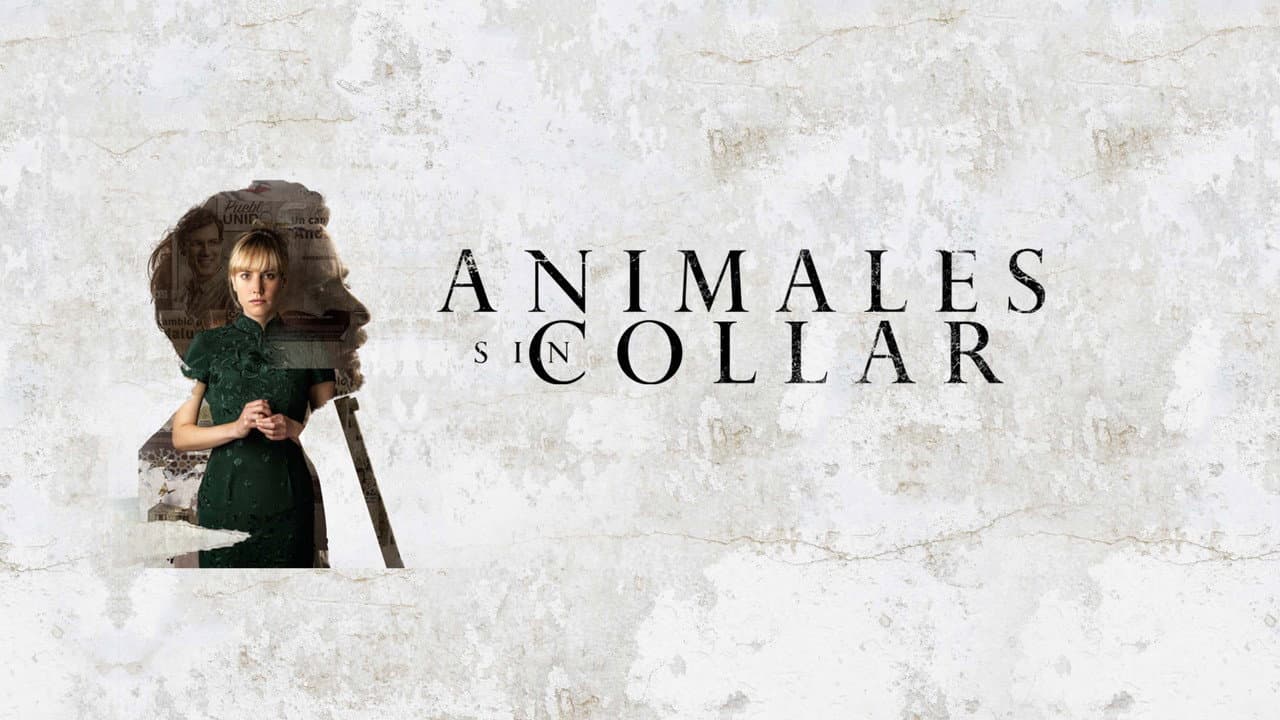 Szene aus Animales sin collar