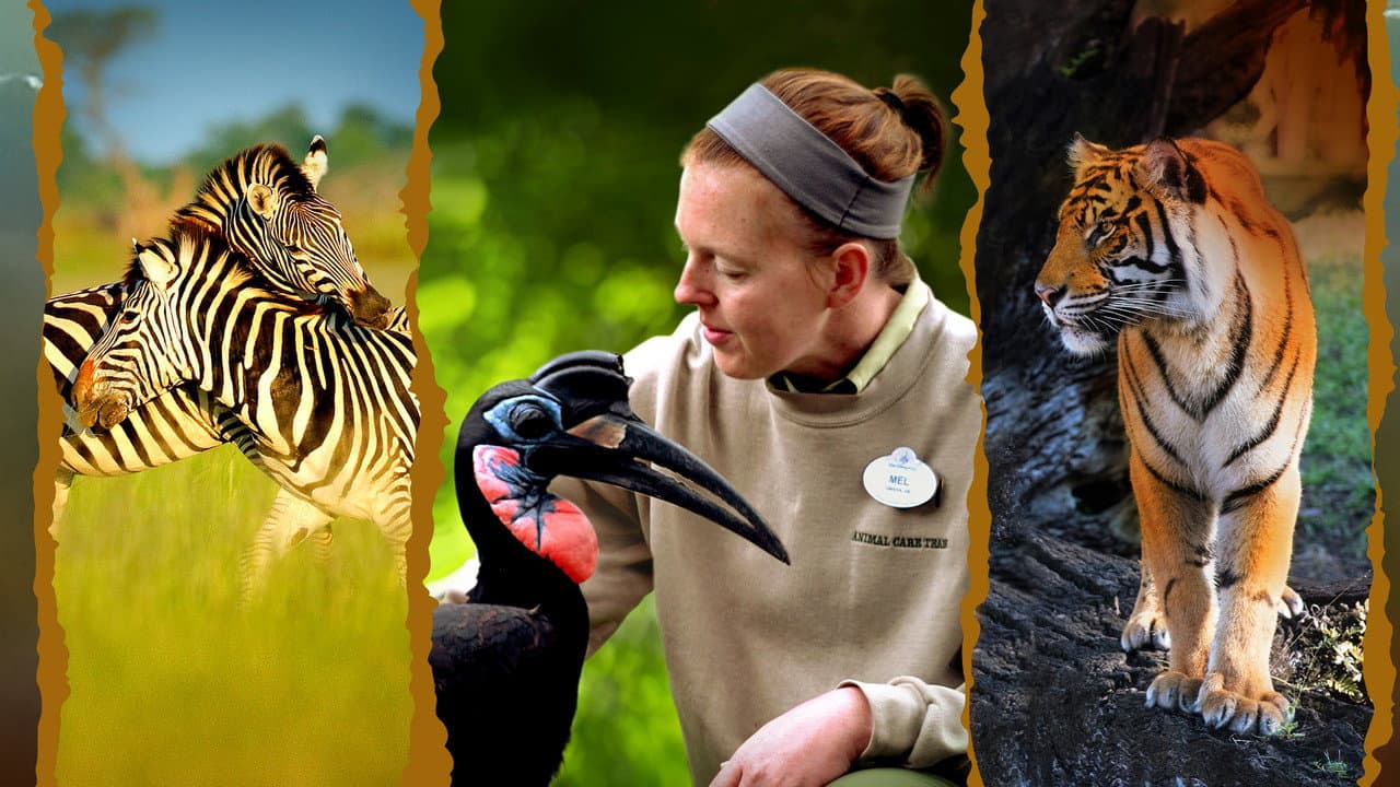 Szene aus Die Magie von Disney's Animal Kingdom