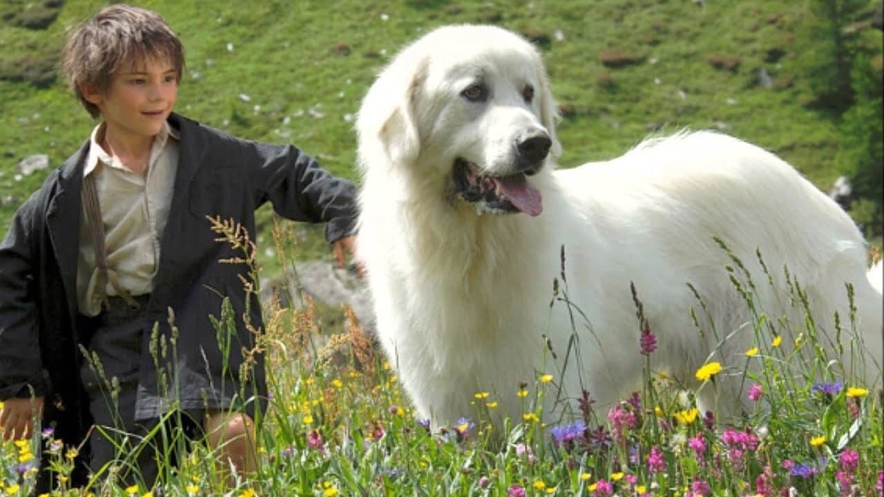 Szene aus Belle und Sebastian
