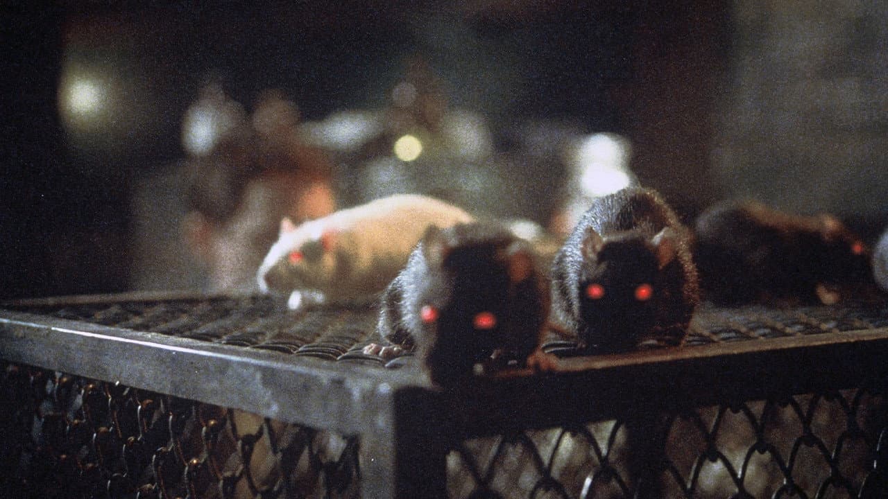Szene aus The Riffs III - Die Ratten von Manhattan