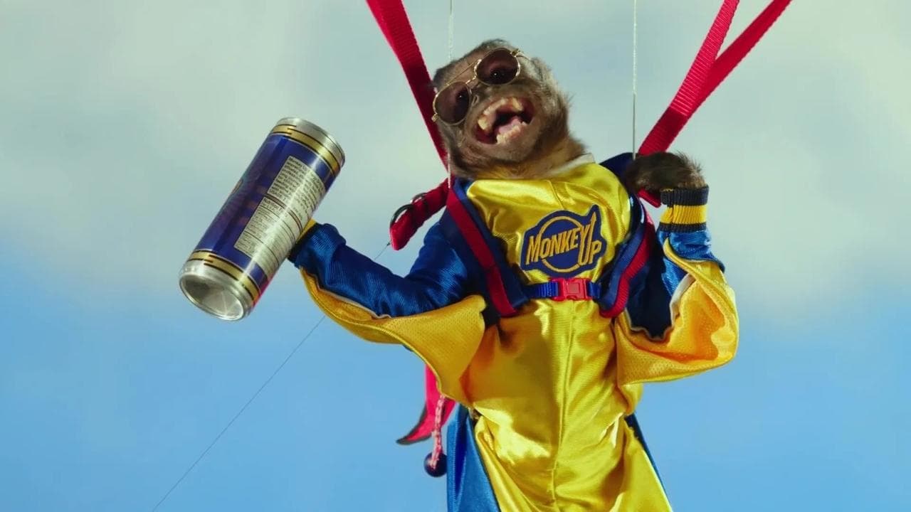 Szene aus Monkey Up