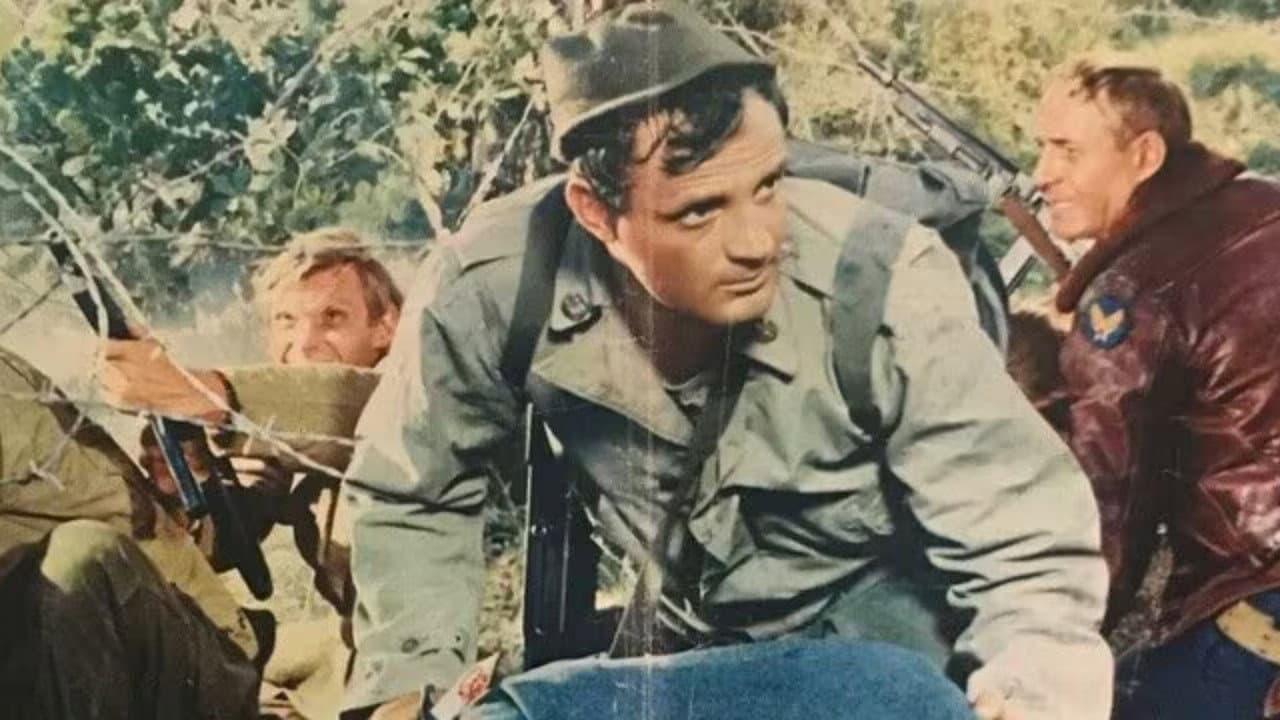 Szene aus Die Ranger