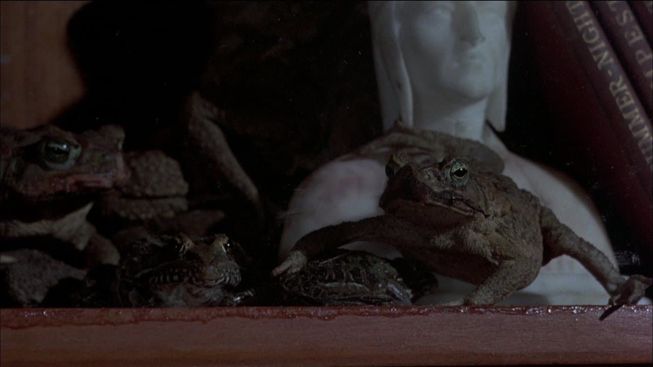 Szene aus Frogs