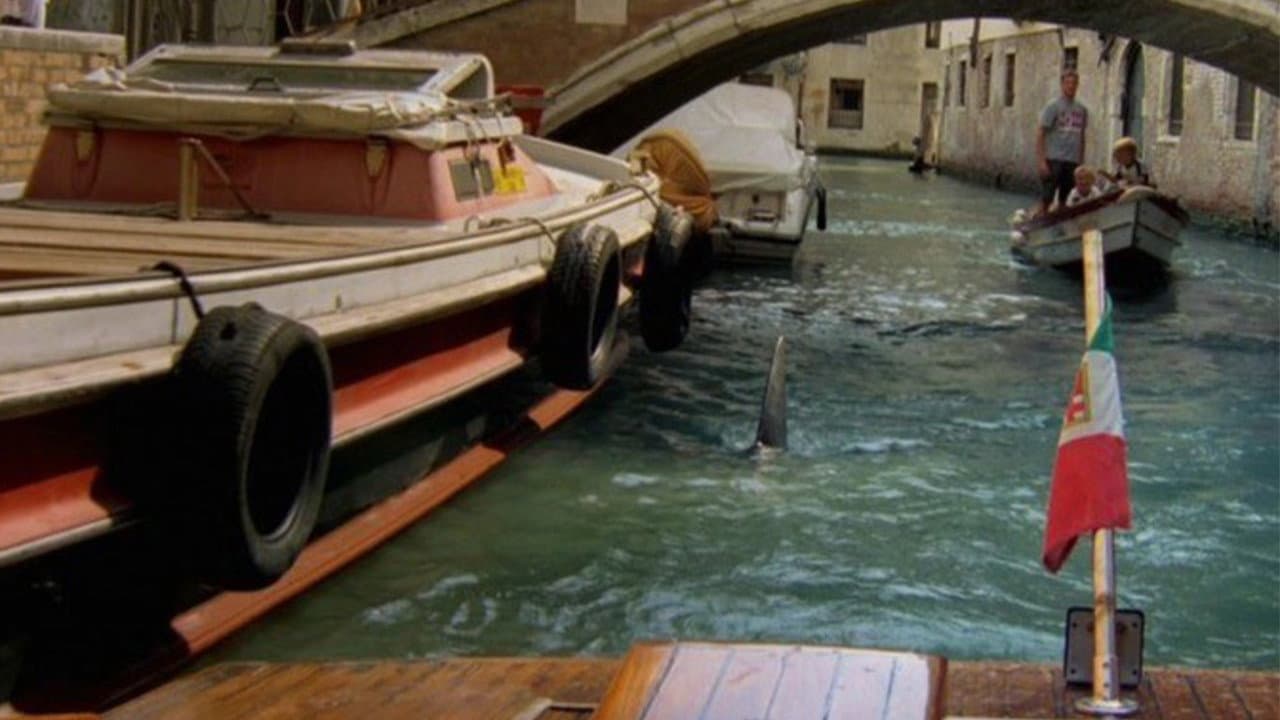 Szene aus Der weiße Hai in Venedig