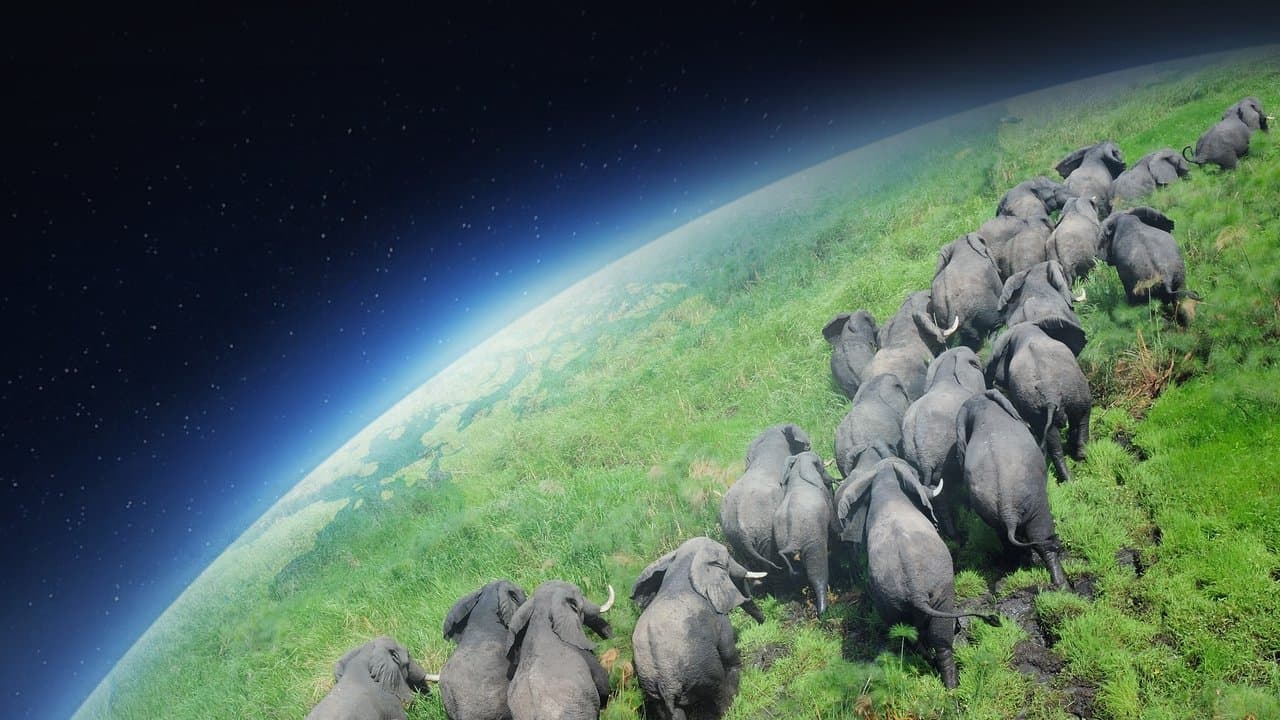 Szene aus Planet Erde