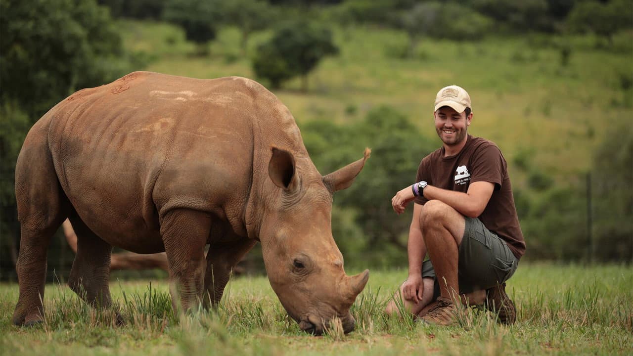 Szene aus Team Wildlife Südafrika