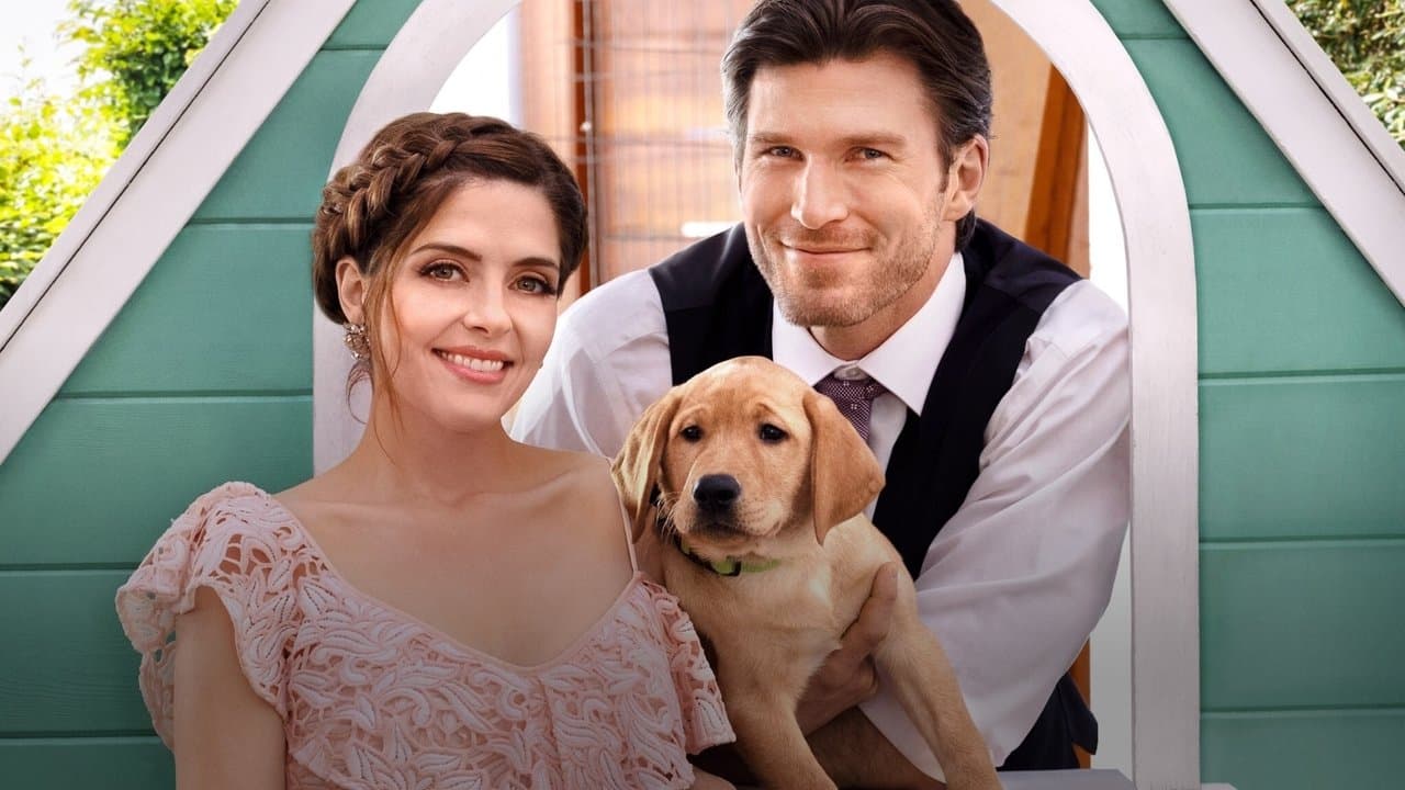 Szene aus Liebe mit Herz und Hund