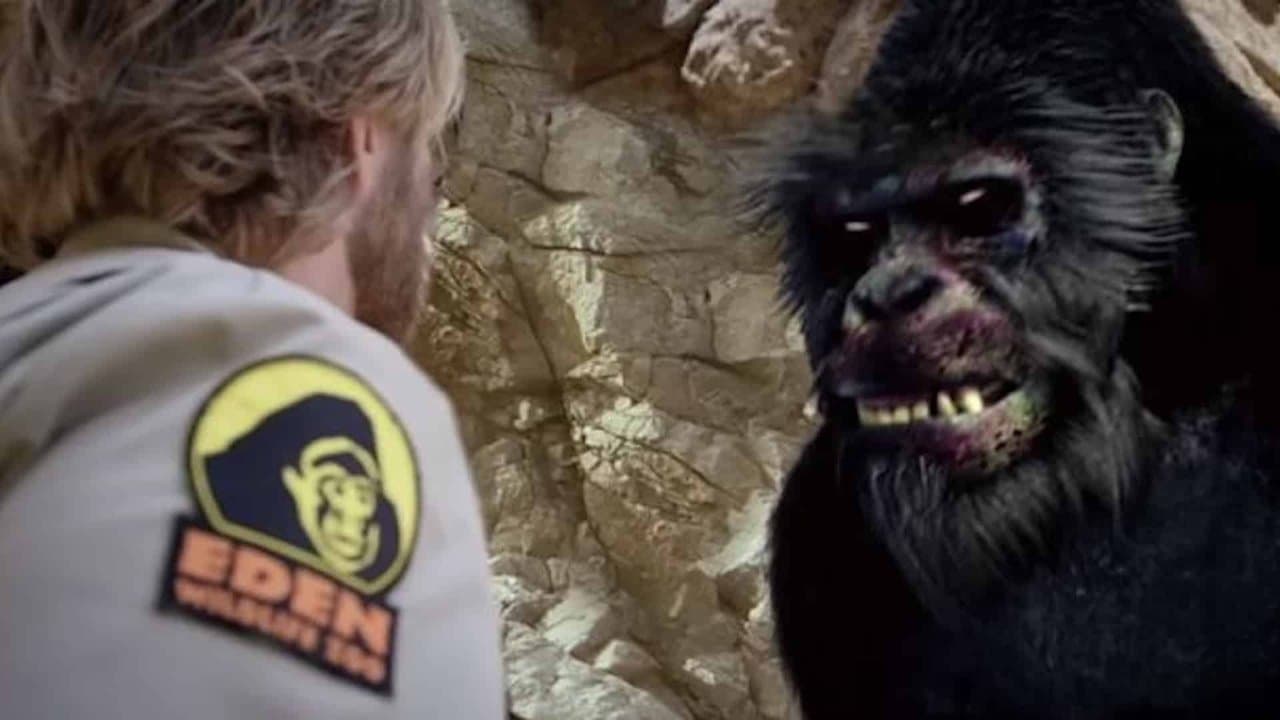 Szene aus Zoombies