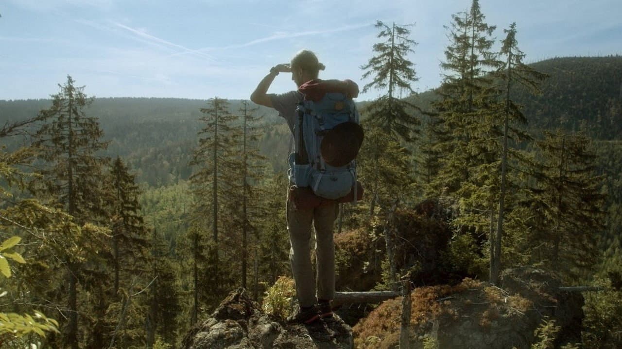 Szene aus Der wilde Wald