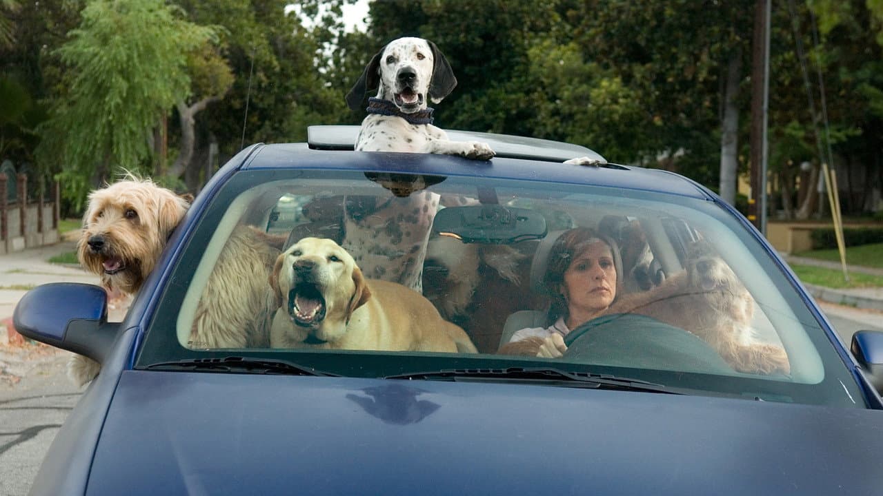 Szene aus Das Jahr des Hundes