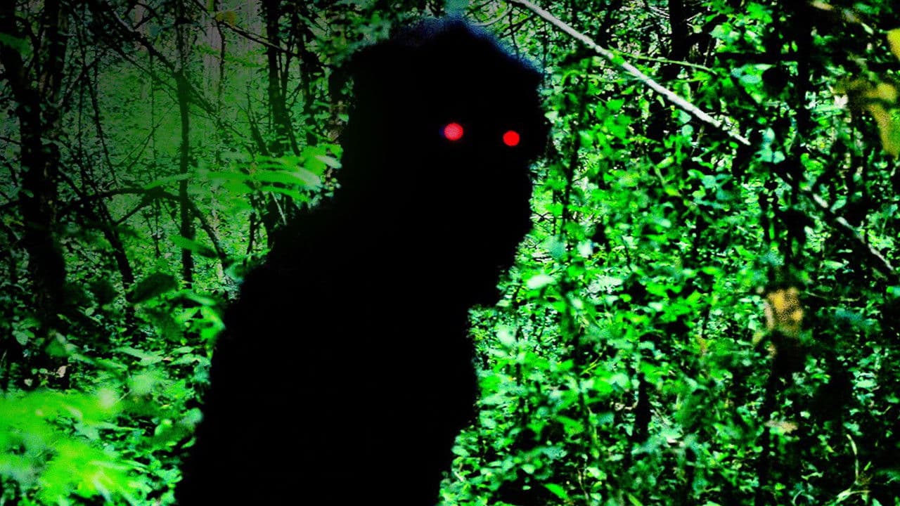 Szene aus Onkel Boonmee erinnert sich an seine früheren Leben