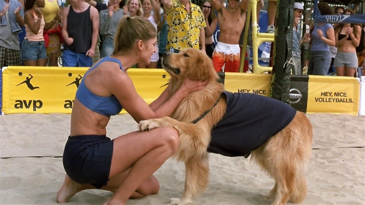 Szene aus Air Bud 5 - Vier Pfoten schlagen auf