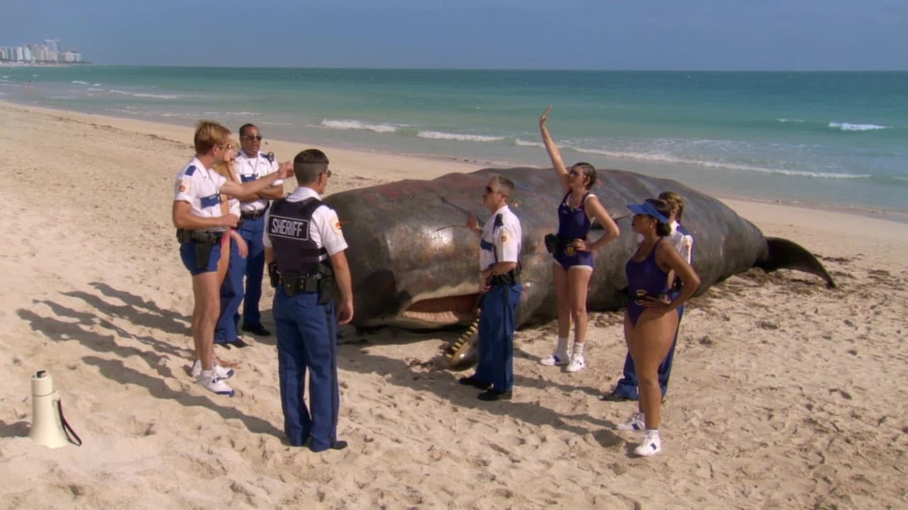 Szene aus Reno 911! - Miami