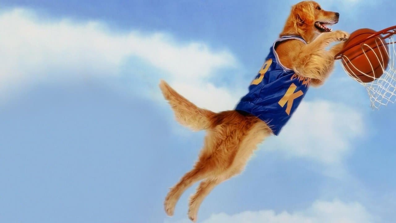 Szene aus Air Bud - Champion auf vier Pfoten