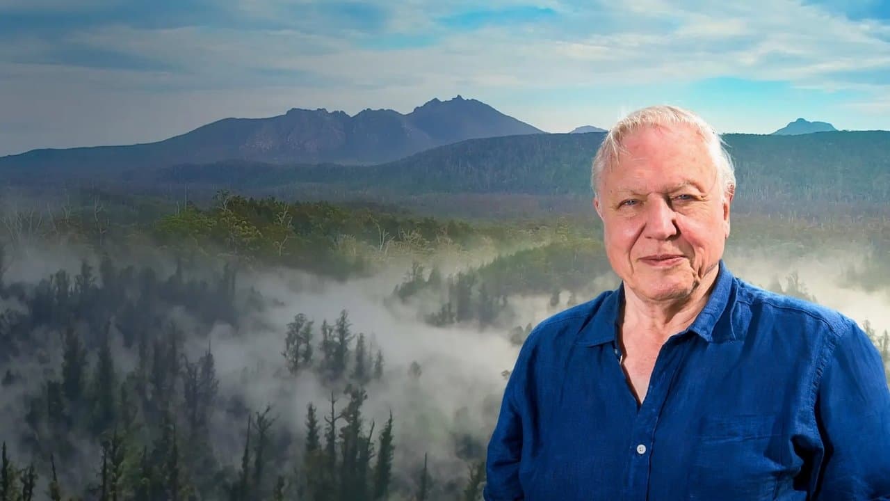 Szene aus David Attenborough's Tasmania