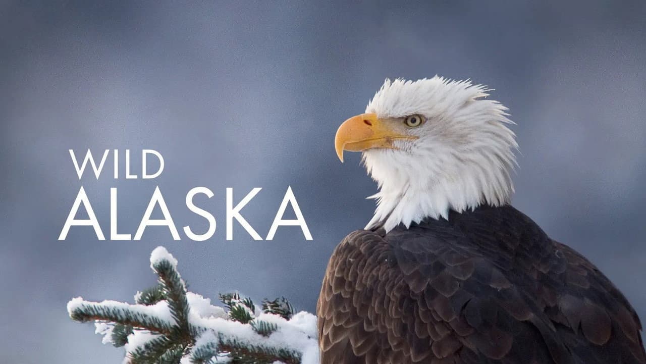 Szene aus Wildes Alaska
