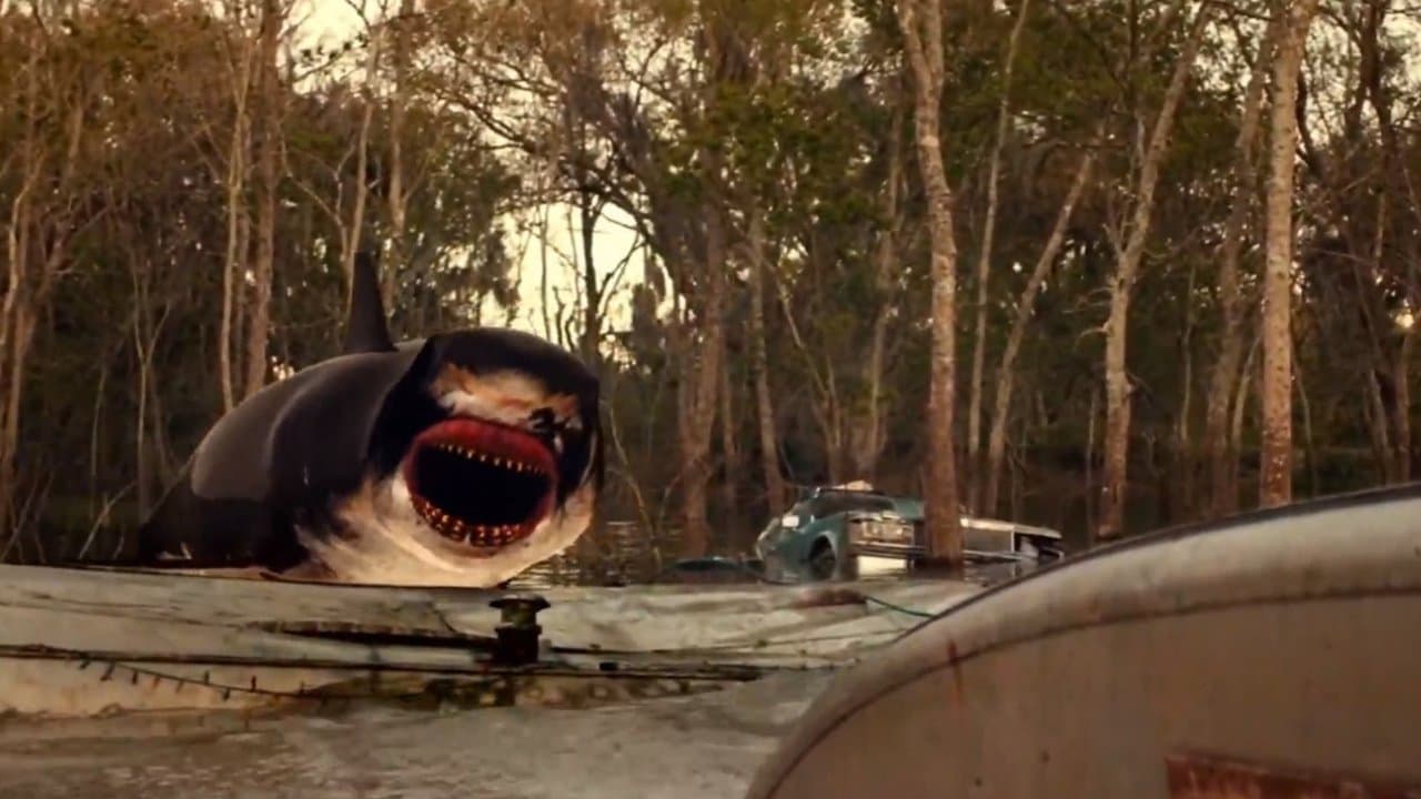 Szene aus Shark Shock