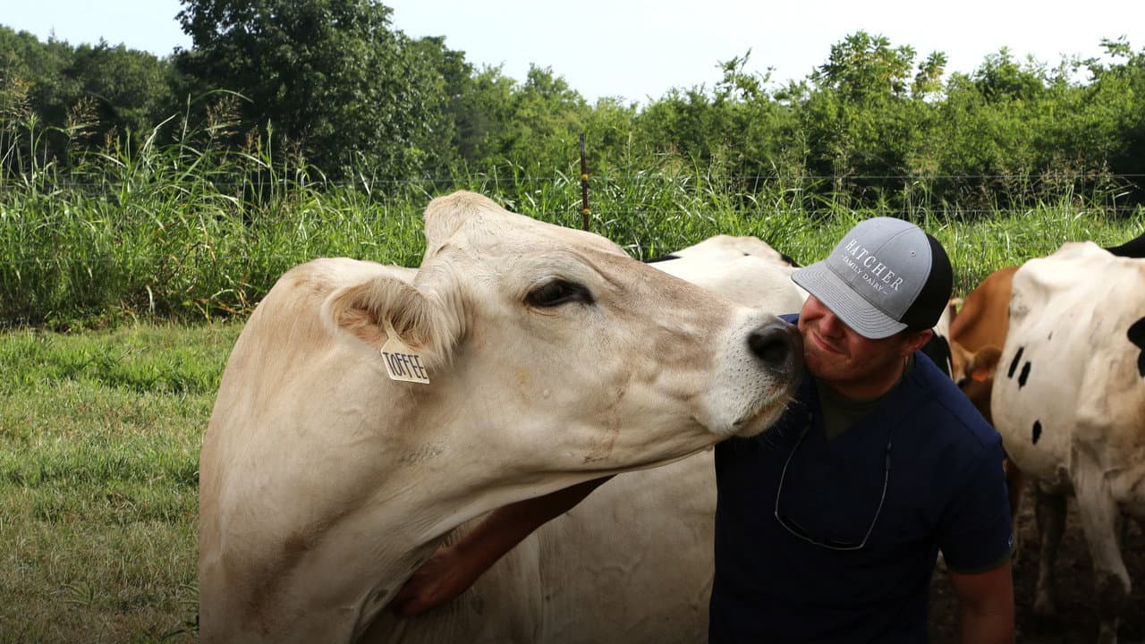 Szene aus Die Hatchers: Farm, Kühe und Doktoren