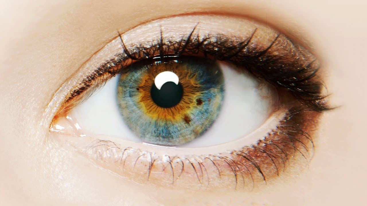 Szene aus I Origins - Im Auge des Ursprungs