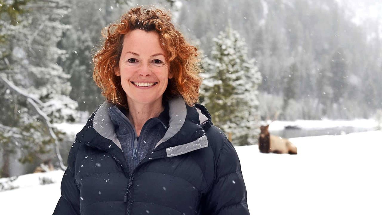 Szene aus Yellowstone: Wildest Winter to Blazing Summer