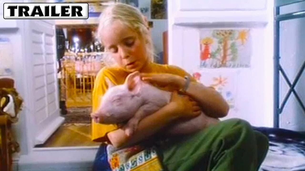 Szene aus Rennschwein Rudi Rüssel