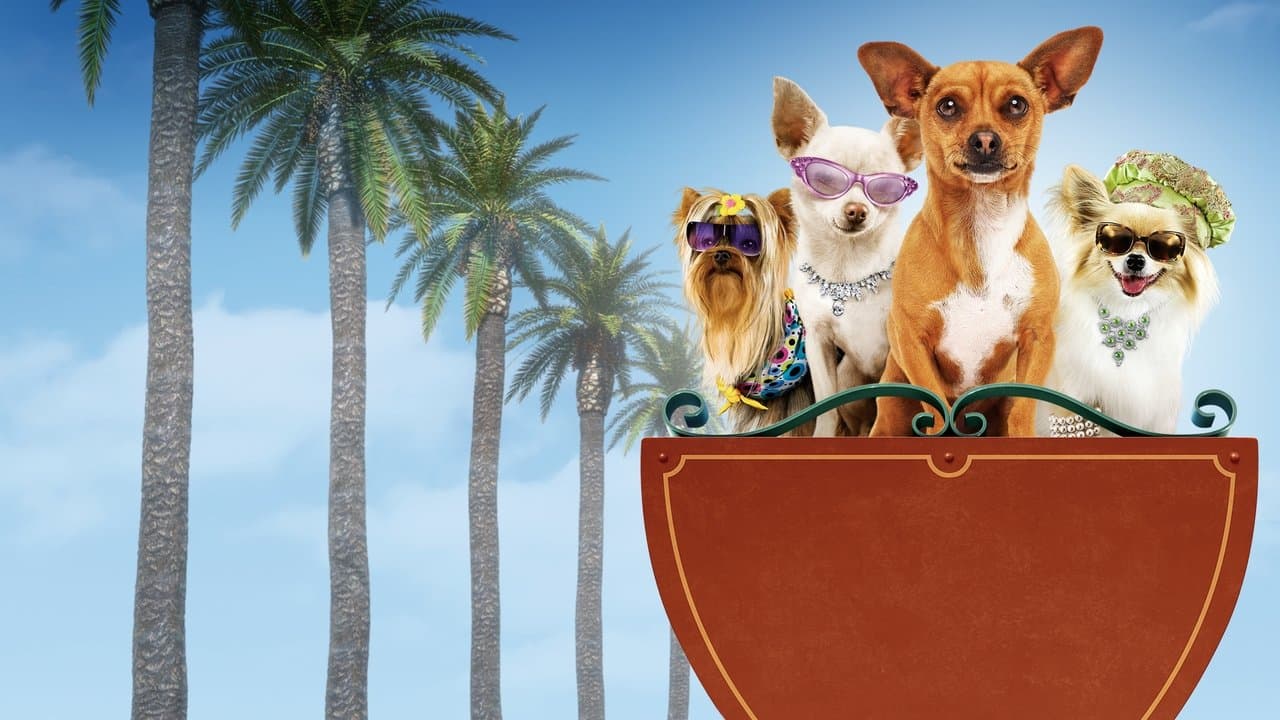 Szene aus Beverly Hills Chihuahua