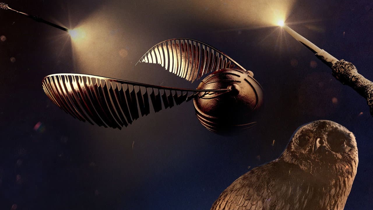 Szene aus Harry Potter: The Official Film Podcast