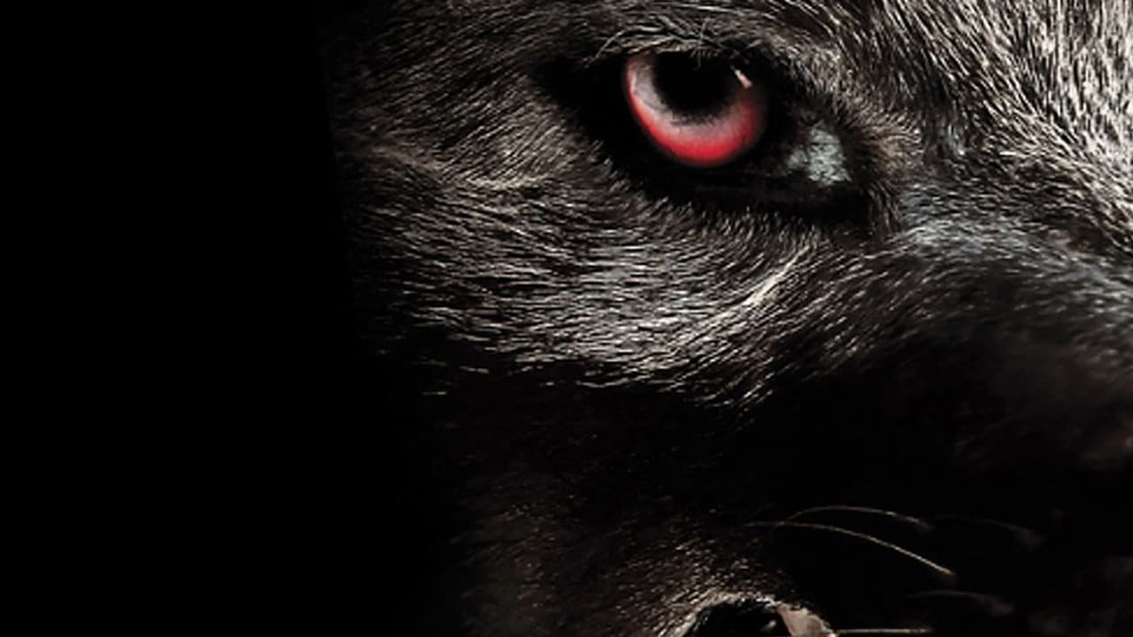Szene aus Monster Wolf