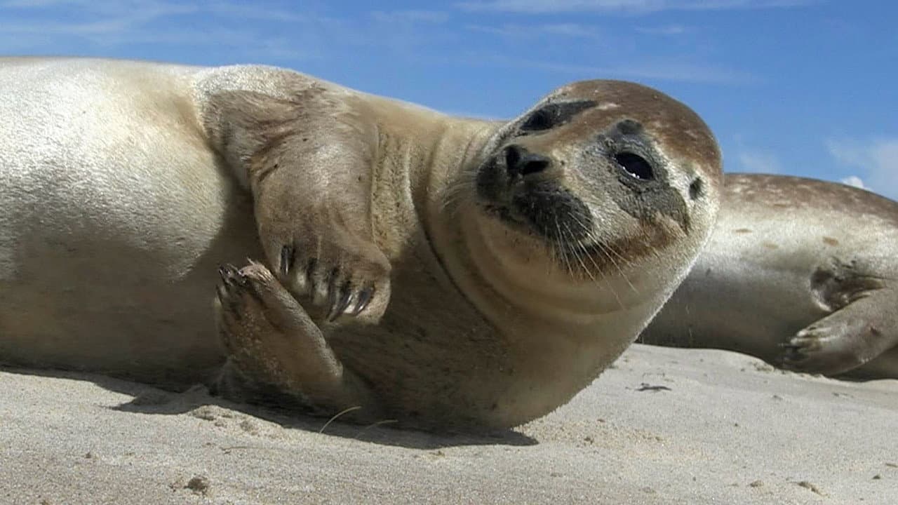Szene aus Wilde Ostsee