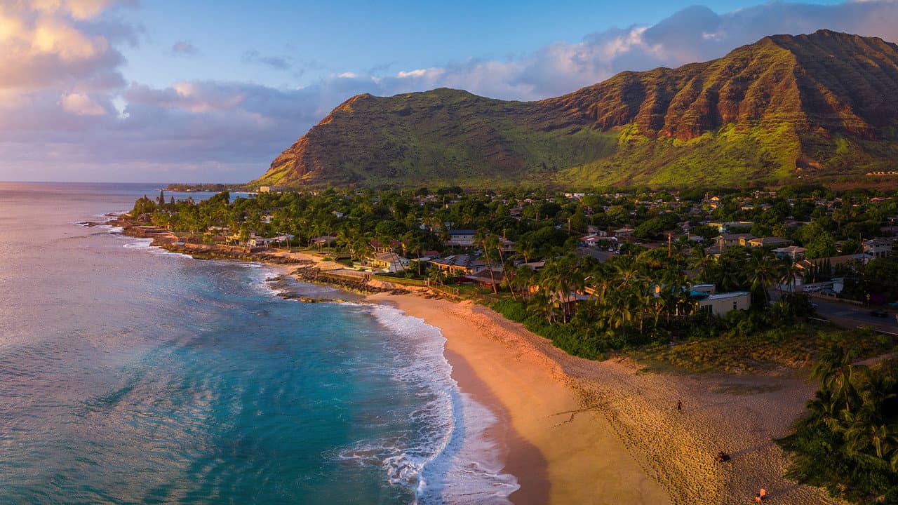 Szene aus Wildes Hawaii