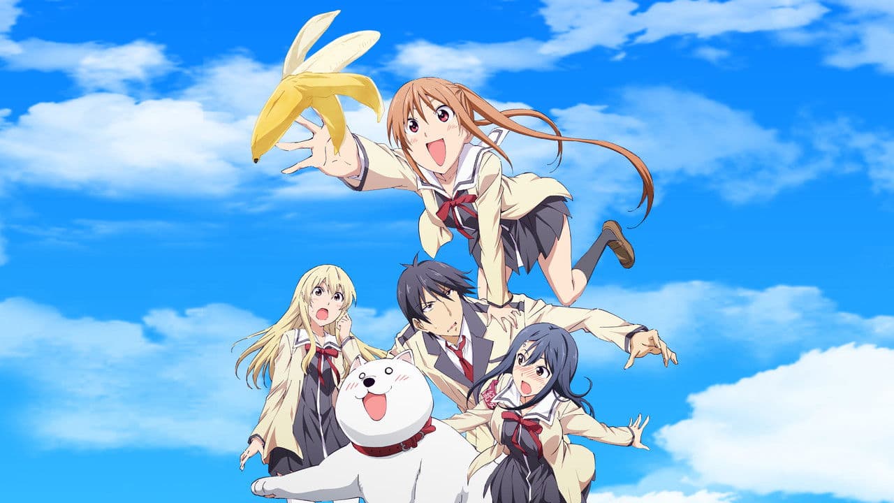 Szene aus Aho-Girl