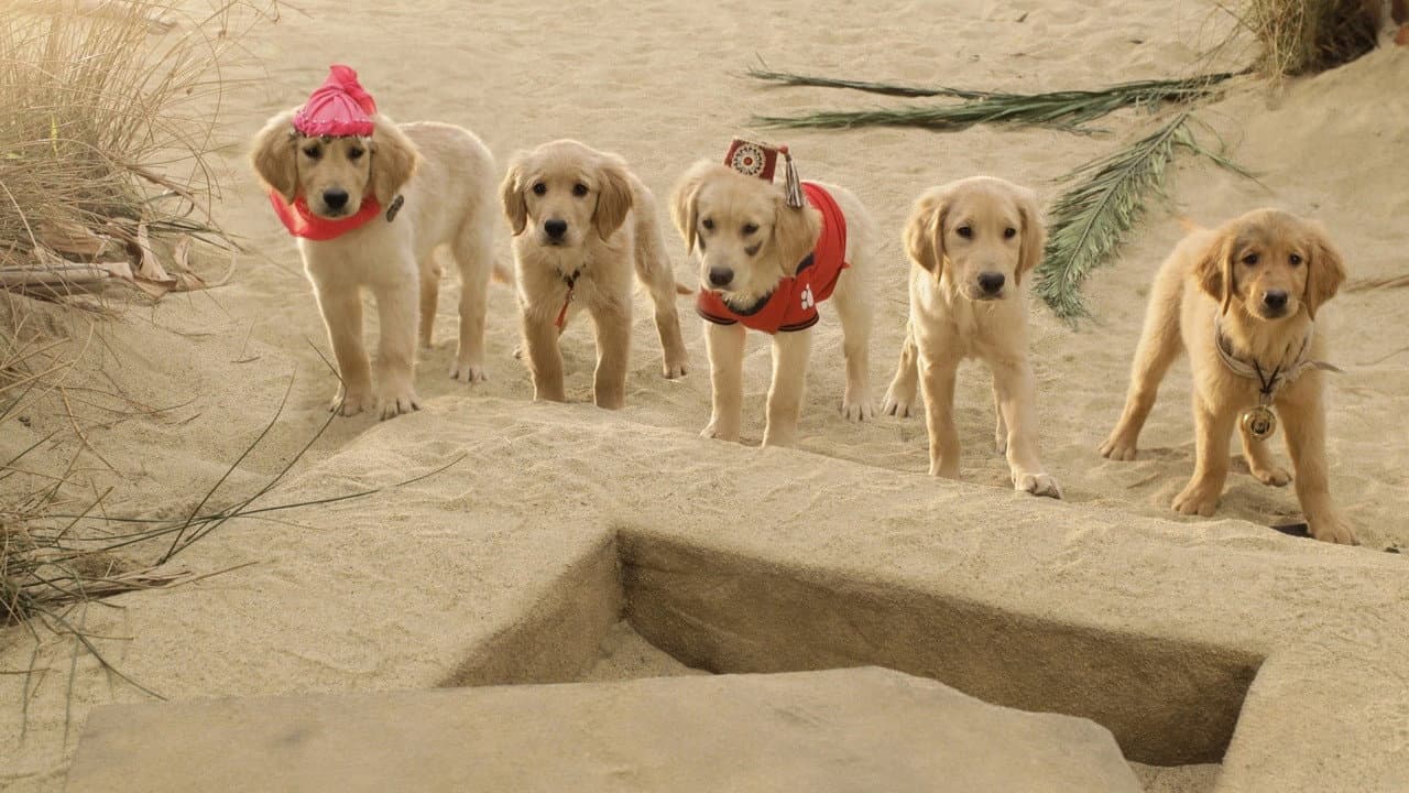 Szene aus Treasure Buddies - Schatzschnüffler in Ägypten