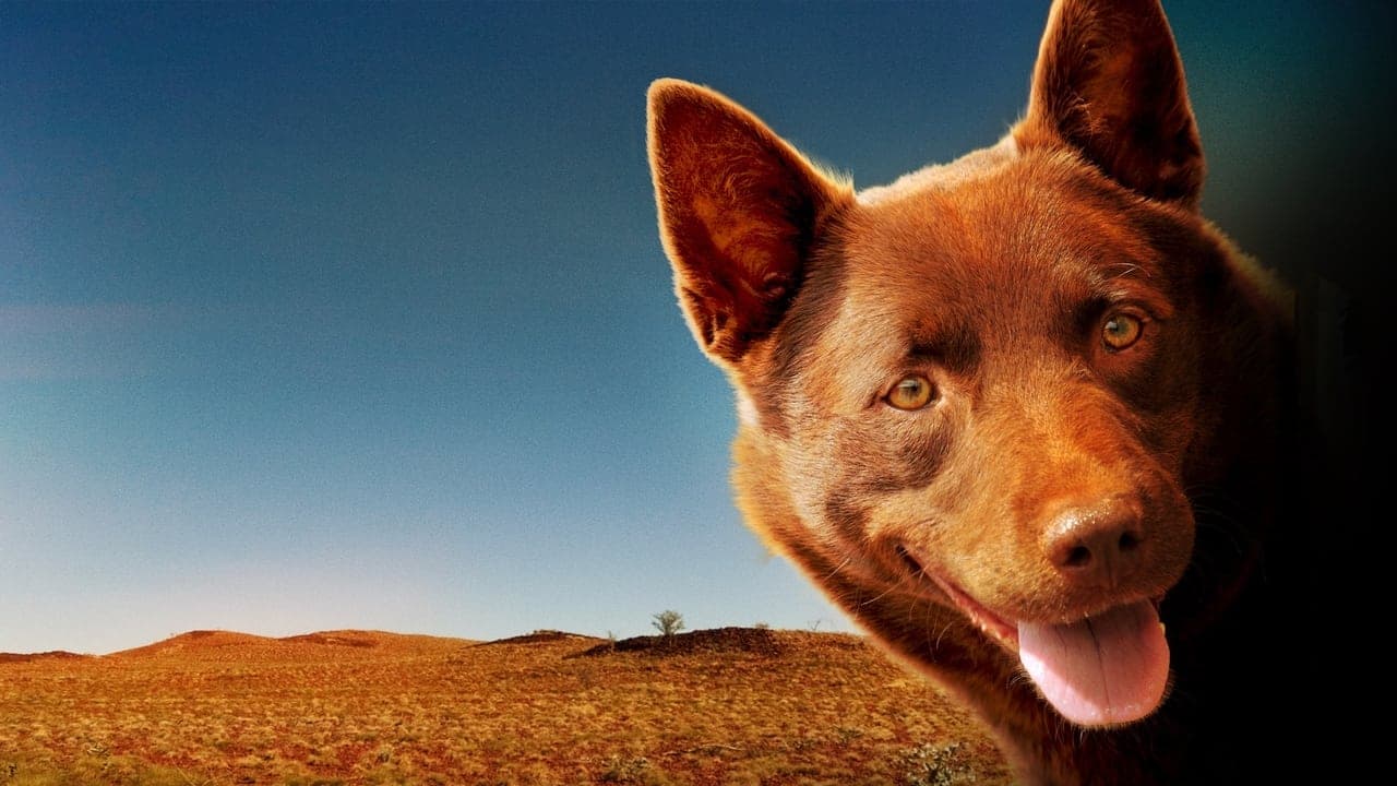 Szene aus Red Dog