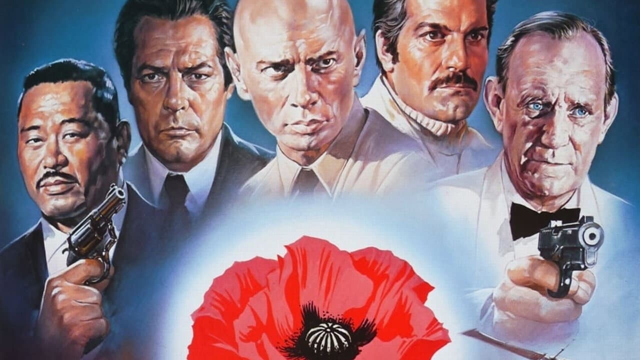 Szene aus Mohn ist auch eine Blume