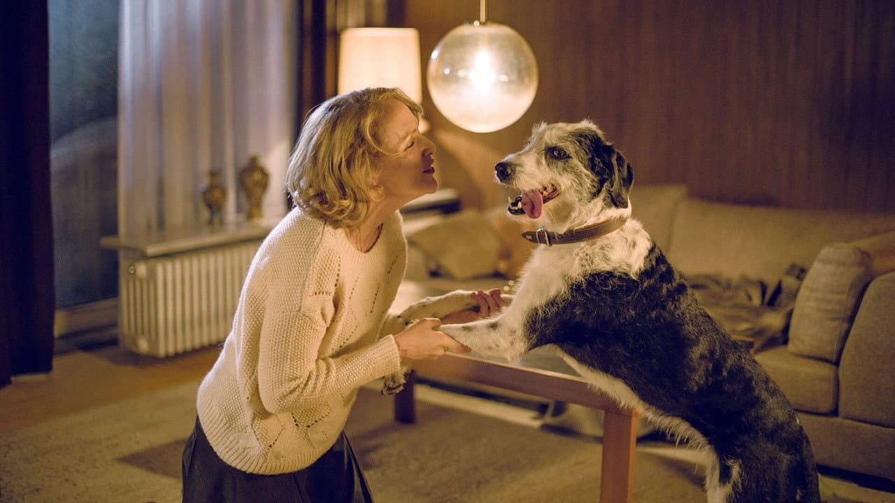 Szene aus Der Hund begraben