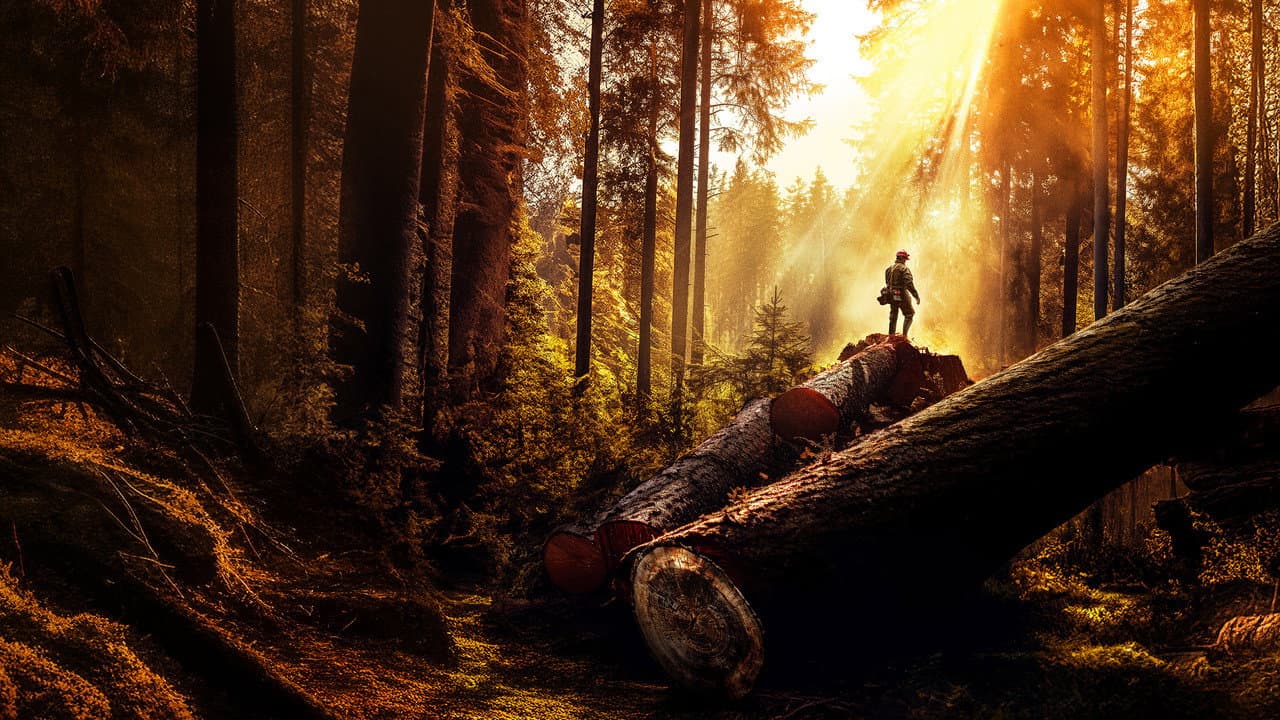 Szene aus The Last Woodsmen