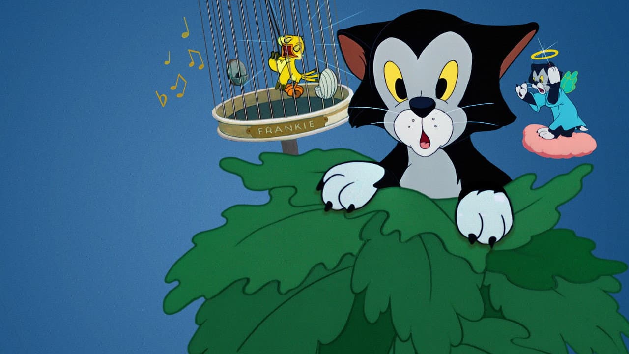 Szene aus Frankies Katzenmusik