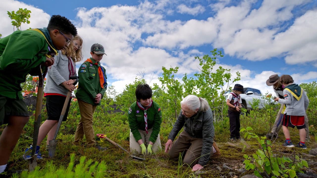 Szene aus Jane Goodall: Reasons for Hope