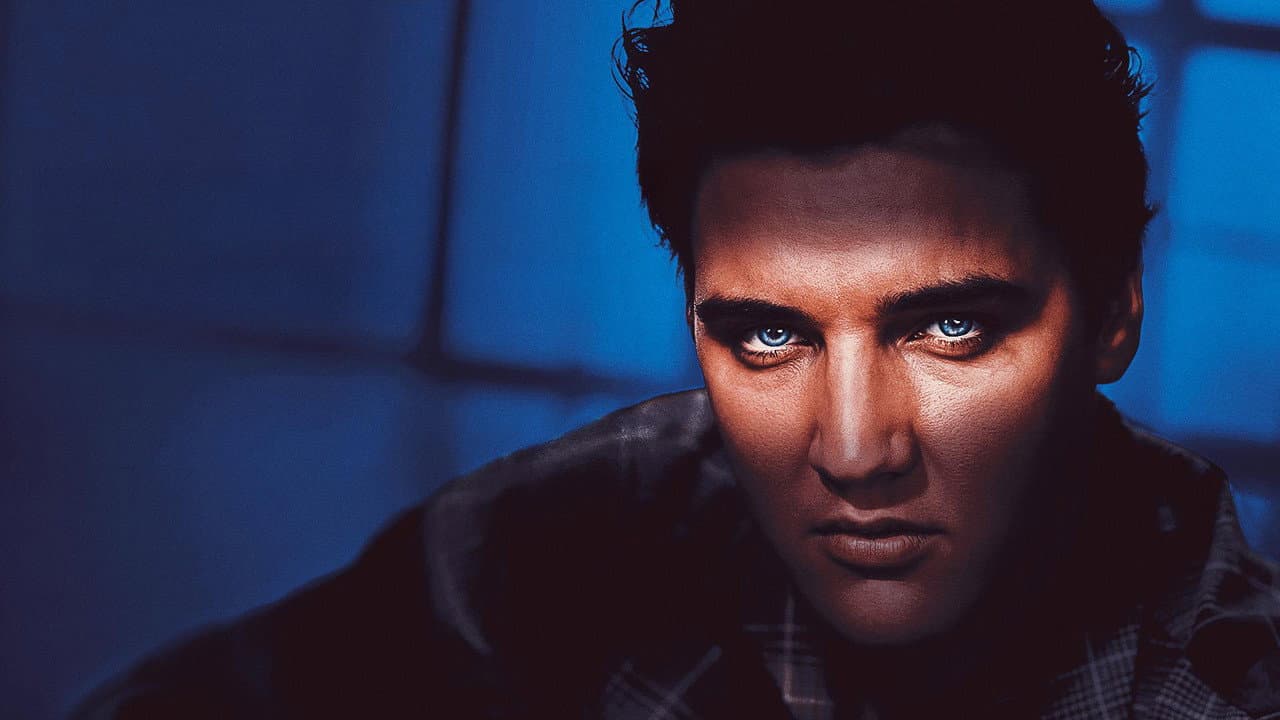 Szene aus Elvis Presley: Shook Up